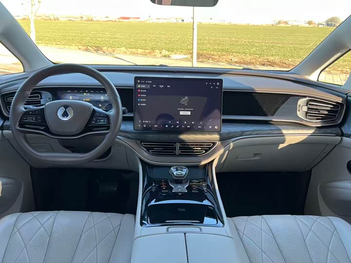 Фото 6 - Denza D9