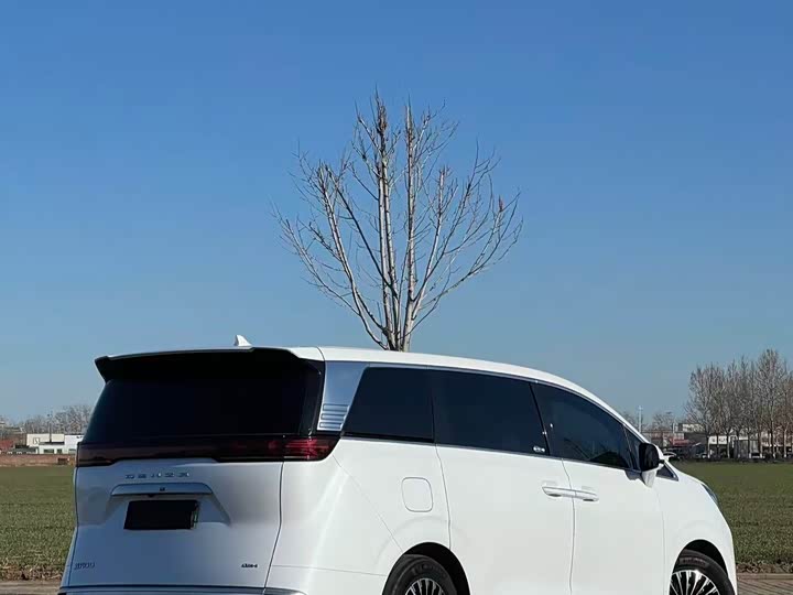 Фото 7 - Denza D9