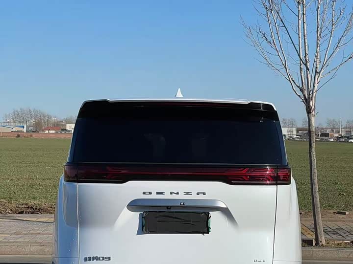 Фото 8 - Denza D9