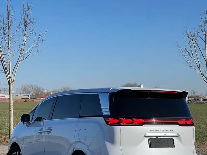 Фото 9 - Denza D9