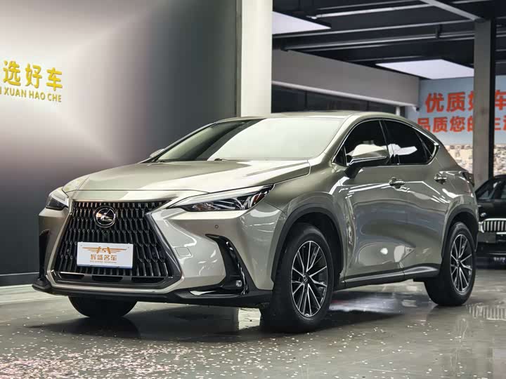 Фото 1 - Lexus NX