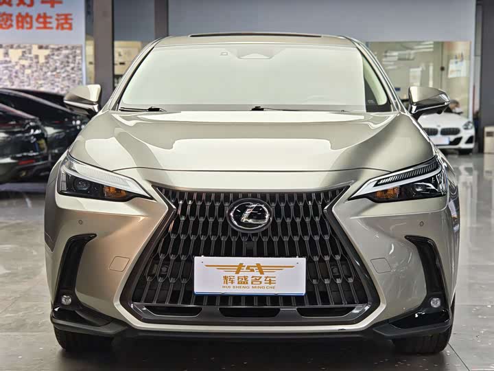Фото 2 - Lexus NX