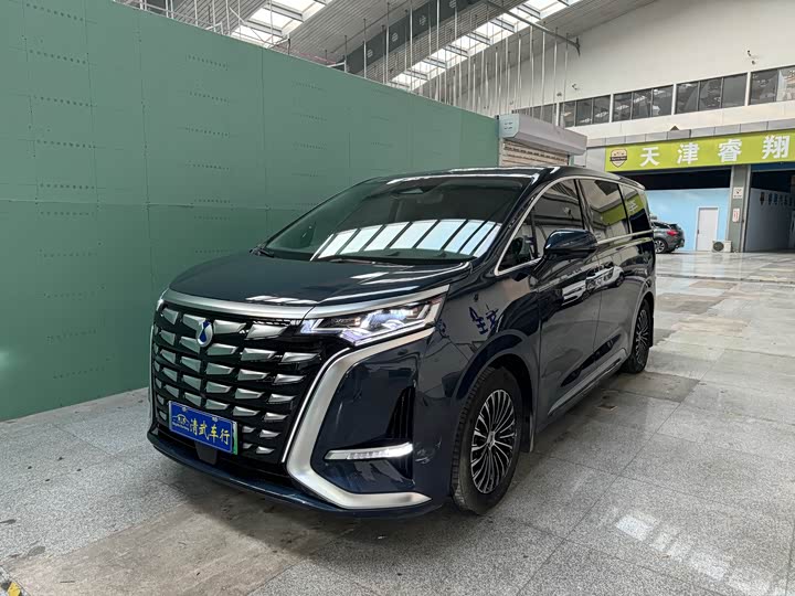 Фото 1 - Denza D9