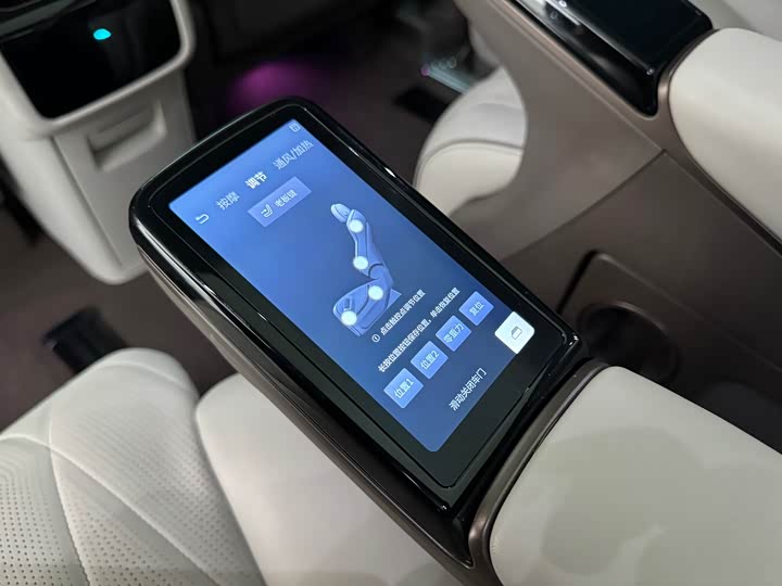 Фото 7 - Denza D9