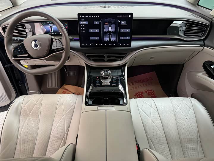 Фото 8 - Denza D9