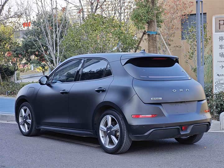 Фото 4 - Ora Good Cat (03)