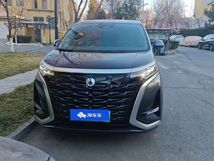 Фото 2 - Denza D9