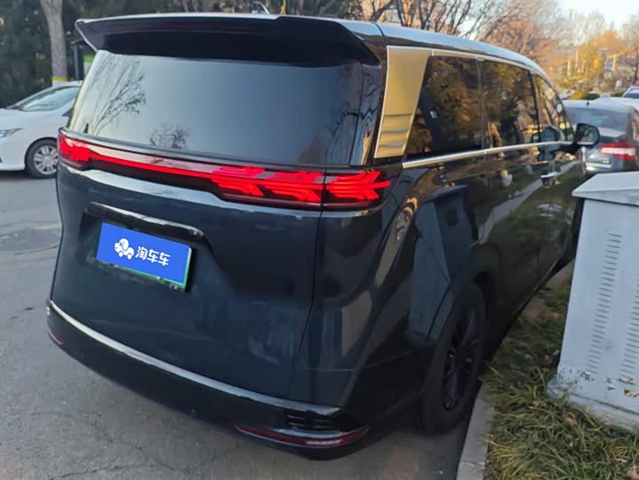 Фото 3 - Denza D9