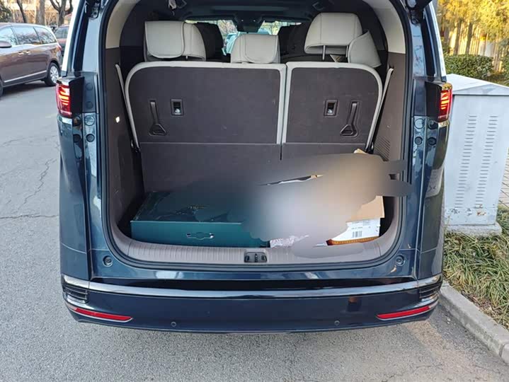 Фото 4 - Denza D9