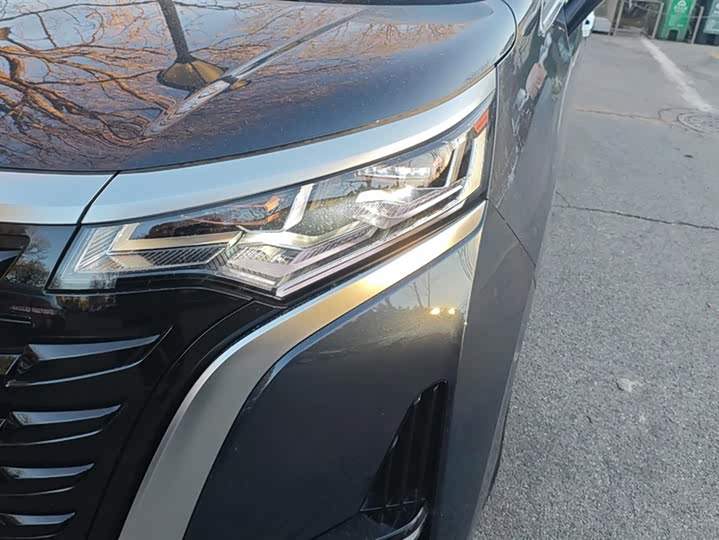 Фото 5 - Denza D9