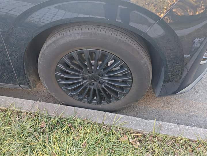 Фото 6 - Denza D9