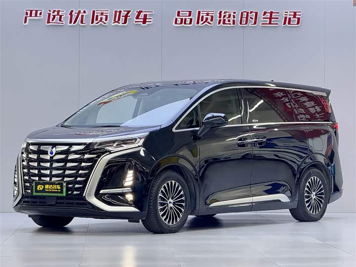 Фото 1 - Denza D9