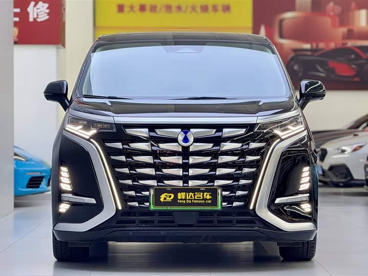 Фото 2 - Denza D9