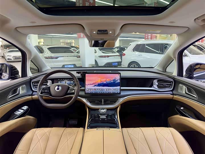 Фото 9 - Denza D9