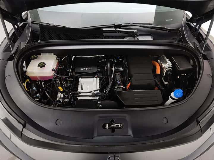 Фото 6 - BYD Tang L