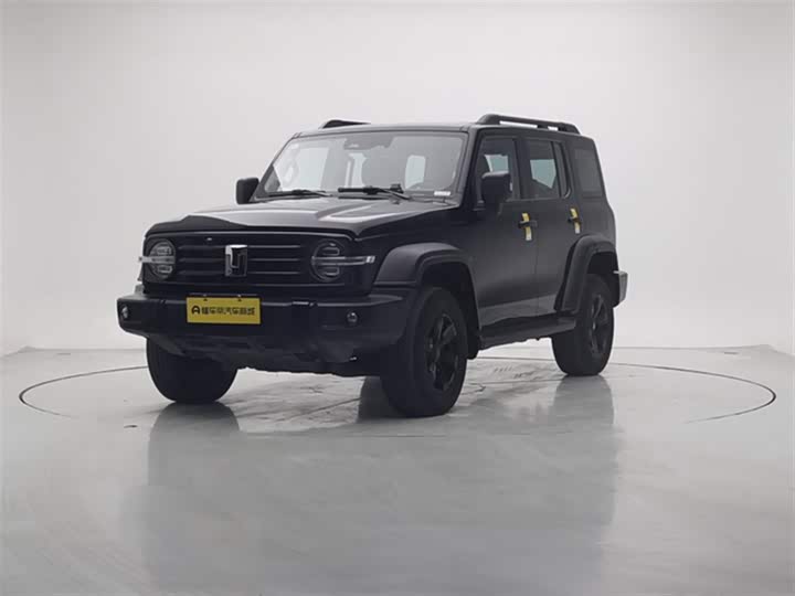 Фото 2 - Tank 300