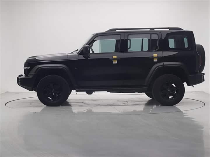 Фото 5 - Tank 300