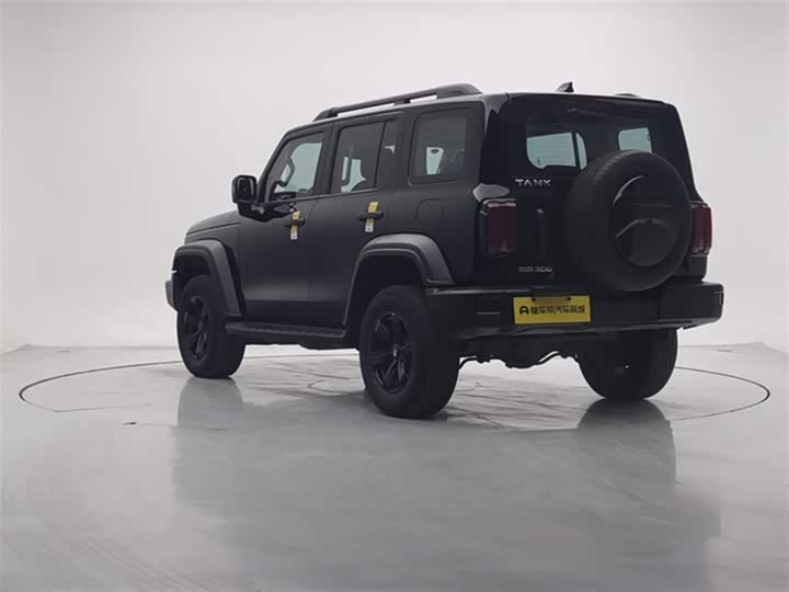 Фото 6 - Tank 300