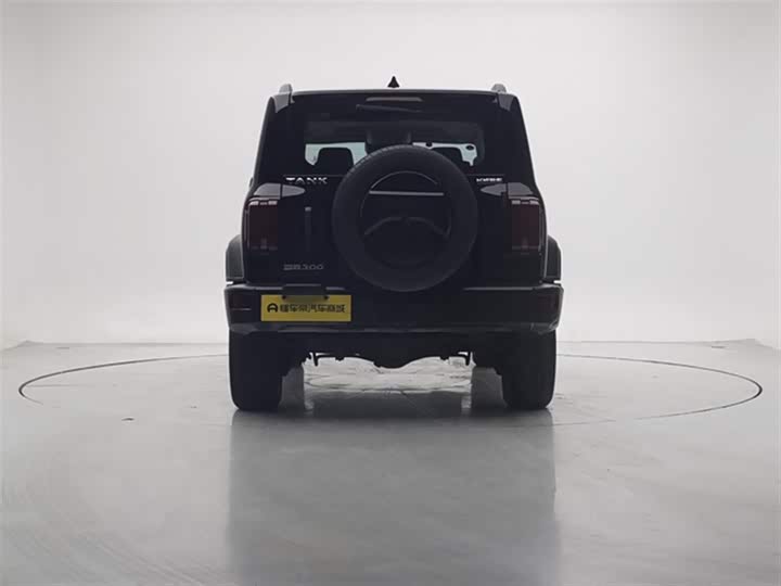 Фото 7 - Tank 300