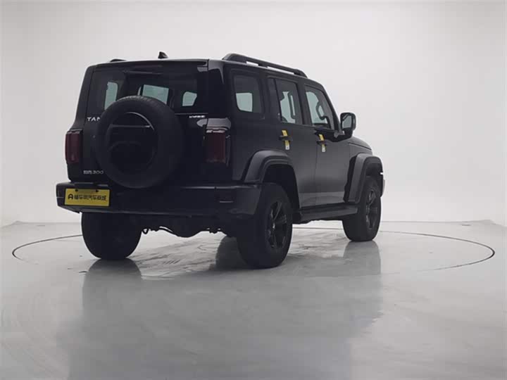 Фото 8 - Tank 300