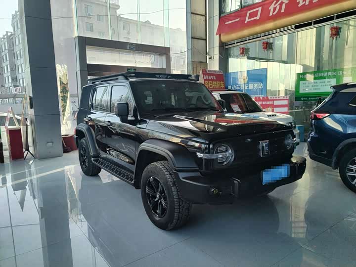 Фото 2 - Tank 300