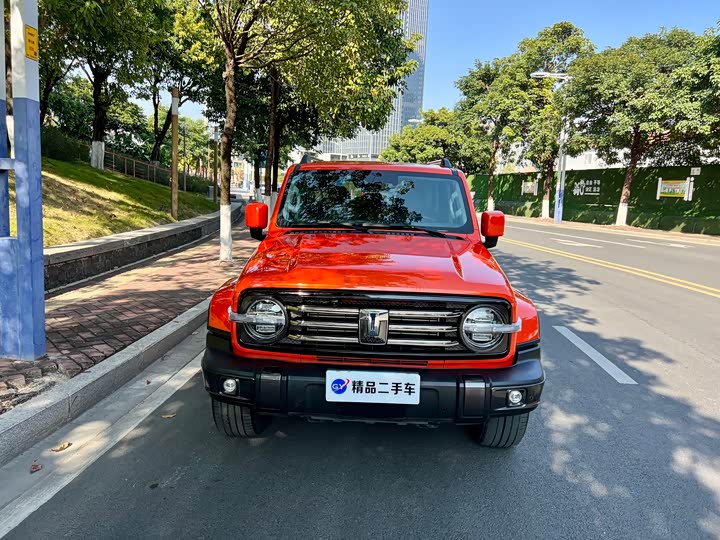 Фото 2 - Tank 300