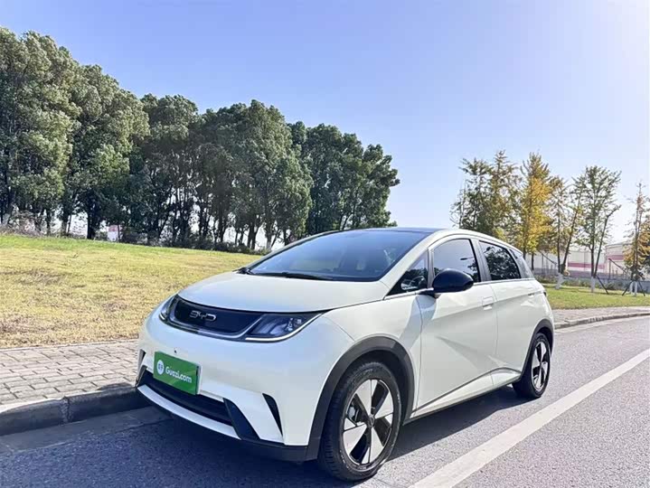 Фото 2 - BYD Dolphin