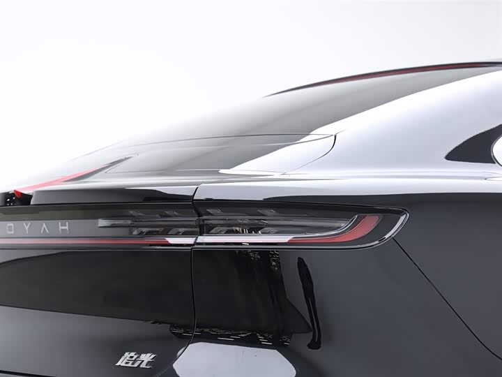 Фото 7 - Voyah Passion