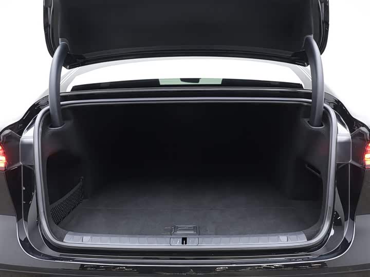 Фото 8 - Voyah Passion