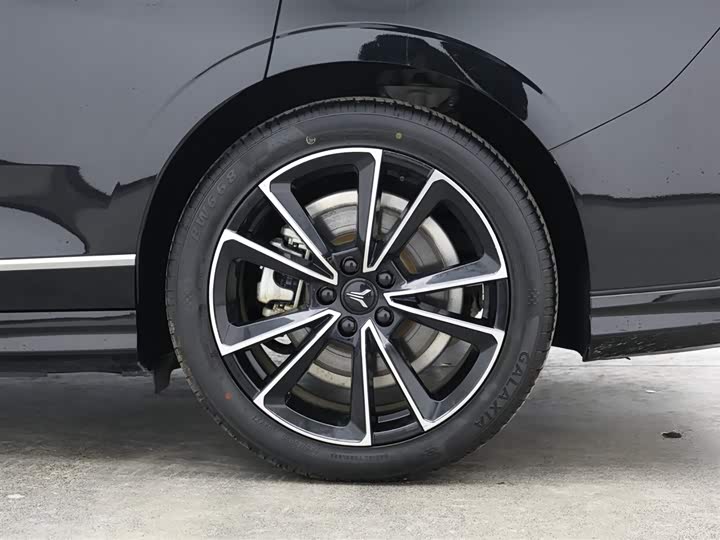 Фото 9 - Voyah Passion