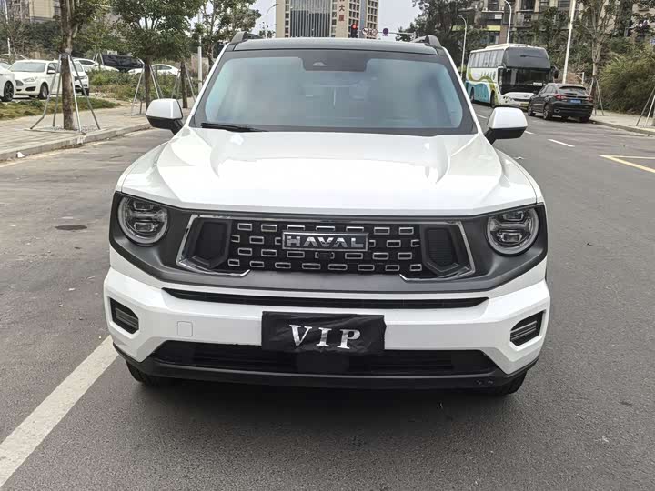 Фото 2 - Haval H-Dog