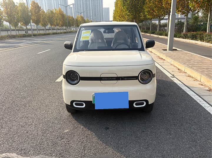 Фото 2 - Geely Galaxy Panda Mini