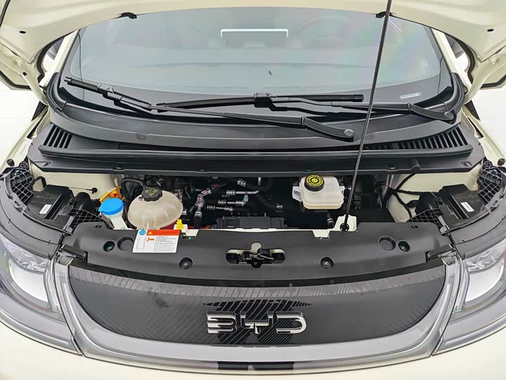 Фото 7 - BYD Dolphin