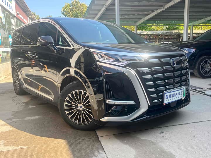 Фото 1 - Denza D9