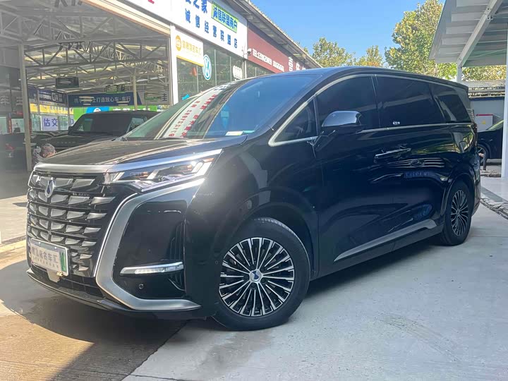 Фото 2 - Denza D9