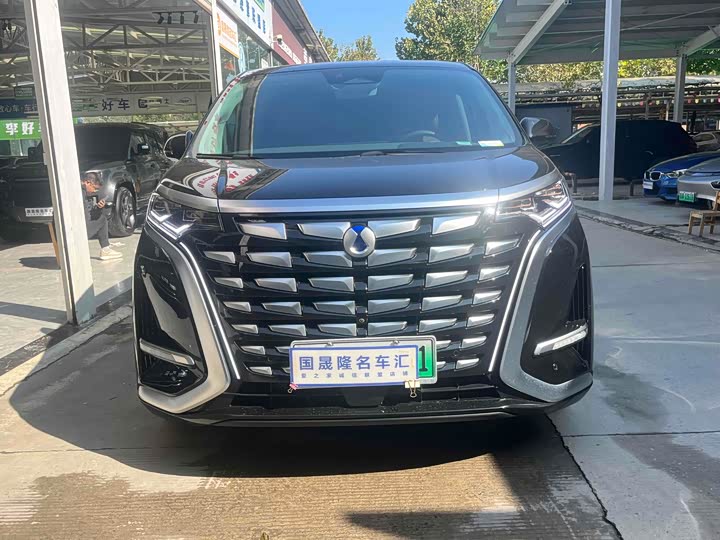 Фото 4 - Denza D9