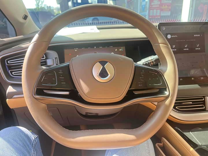 Фото 9 - Denza D9