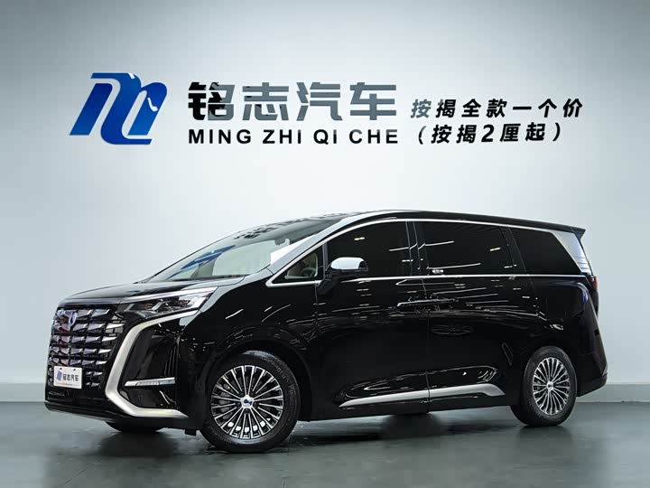 Фото 1 - Denza D9