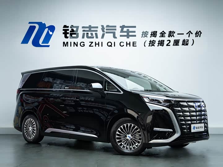 Фото 2 - Denza D9