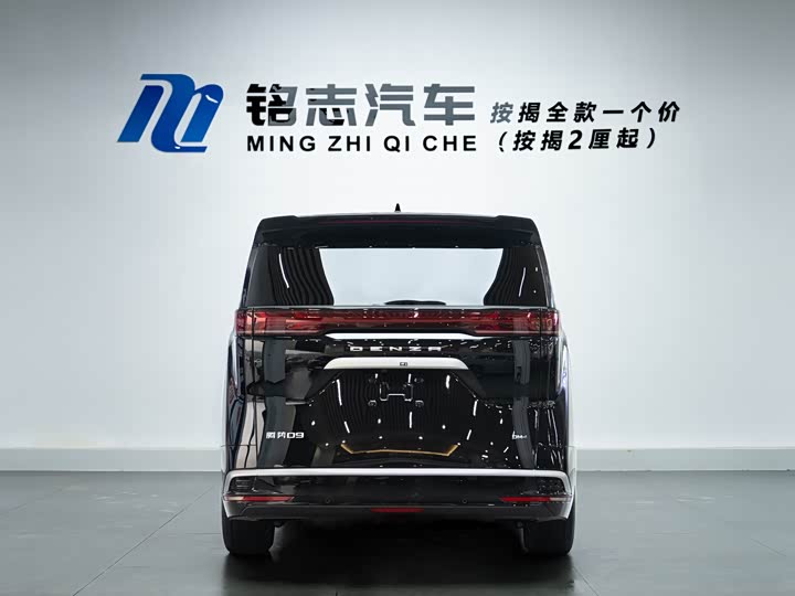 Фото 6 - Denza D9