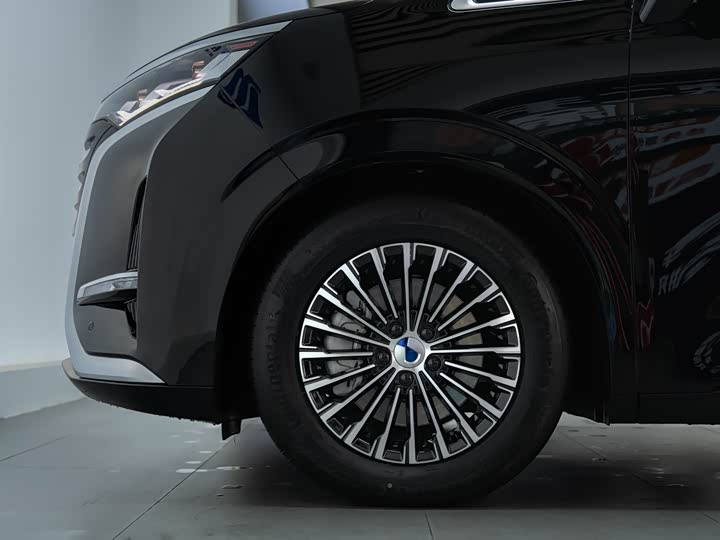 Фото 8 - Denza D9