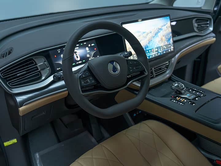 Фото 9 - Denza D9