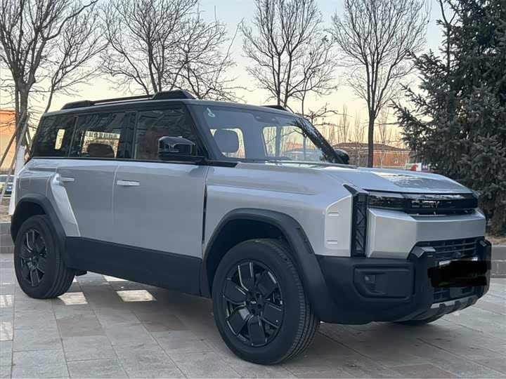 Фото 5 - Chery Fulwin X3L