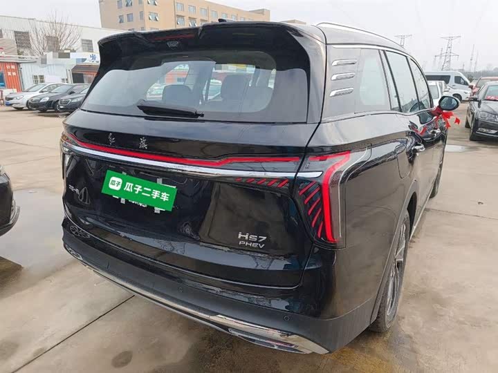 Фото 7 - Hongqi HS7 Hybrid