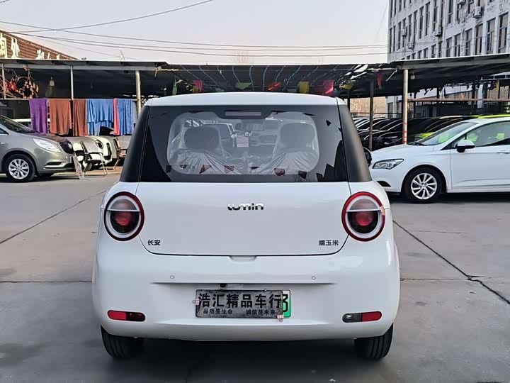 Фото 4 - Changan Qiyuan (Nevo) Lumin