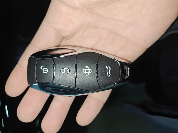 Фото 9 - Hongqi HS7 Hybrid