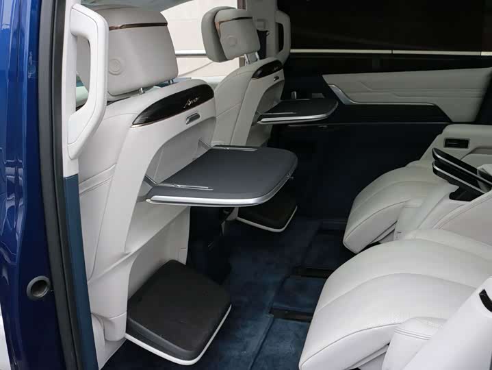 Фото 9 - Buick GL8 Century