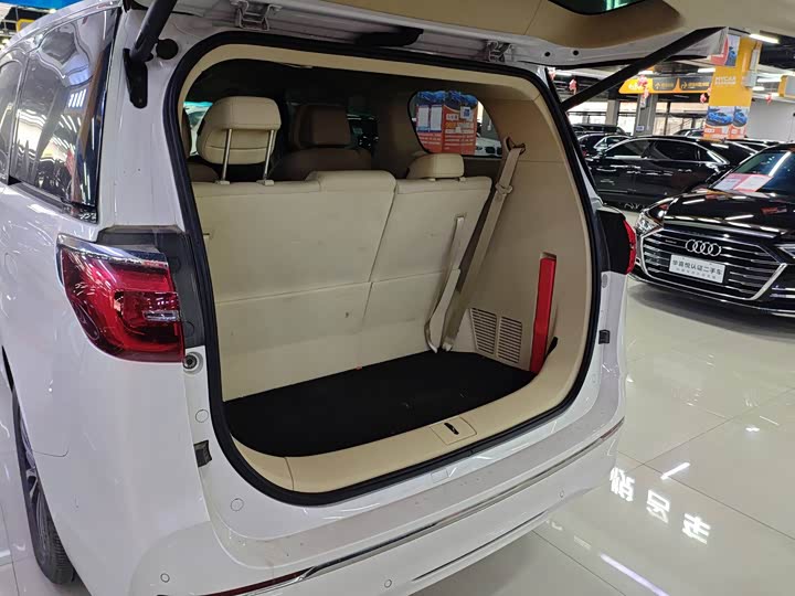 Фото 9 - Buick GL8 ES