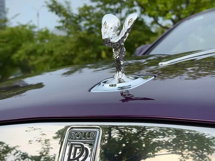 Фото 4 - Rolls-Royce Dawn