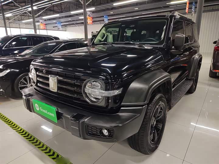 Фото 2 - Tank 300